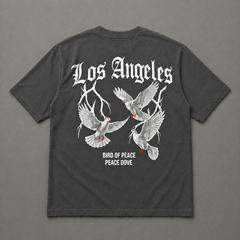 Los Angeles T-Shirt (Gray)